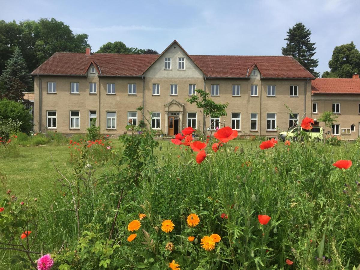 Storchenblick * Zarnewanz